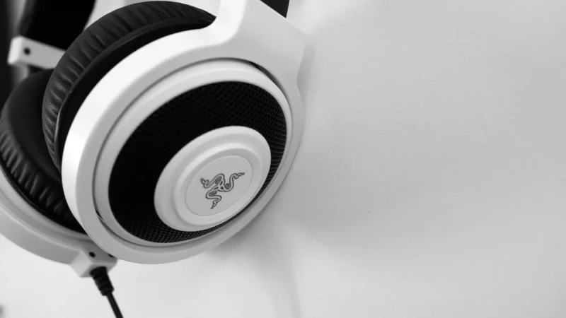 Labtec C-110 Deluxe PC Stereo Headset